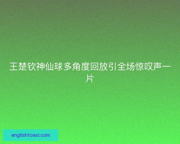 王楚钦神仙球多角度回放引全场惊叹声一片 王楚钦神仙球多角度回放引全场惊叹声一片